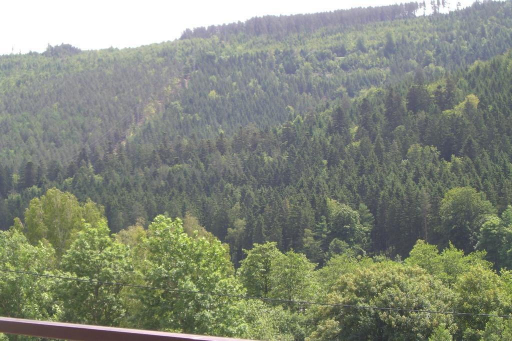 Ferienwohnung Waldblick Bad Wildbad Rom bilde